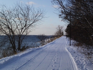 r025.jpg