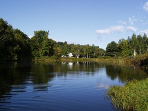 r128.jpg