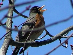 r165.jpg