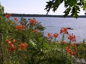r173.jpg