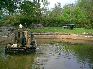 r240.jpg