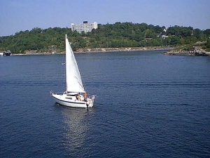 r270.jpg